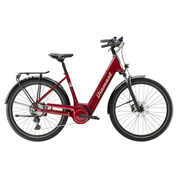 E-Citybike Der Bequeme