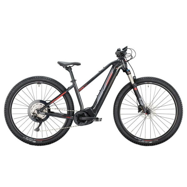 E-Mountainbike Der Allrounder