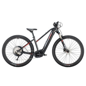 E-MOUNTAINBIKE