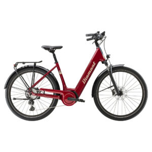 E-CITYBIKE